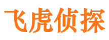 枞阳外遇出轨调查取证